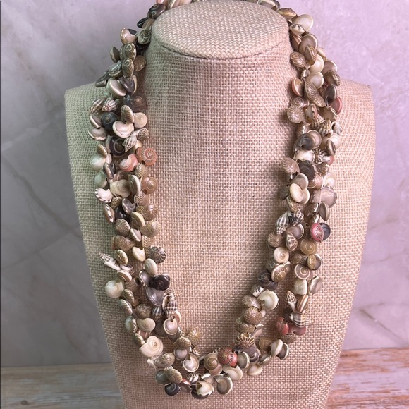 Jewelry - Chic Natural Shell Necklace